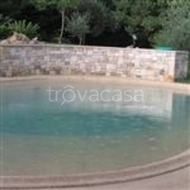 casa indipendente in vendita a Pietrasanta in zona Capezzano Monte