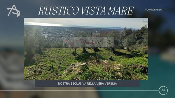 casale in vendita a Pietrasanta in zona Capriglia