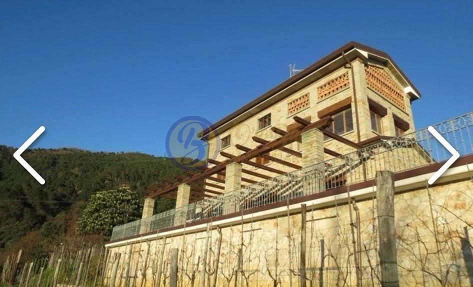 casa indipendente in vendita a Pietrasanta in zona Strettoia