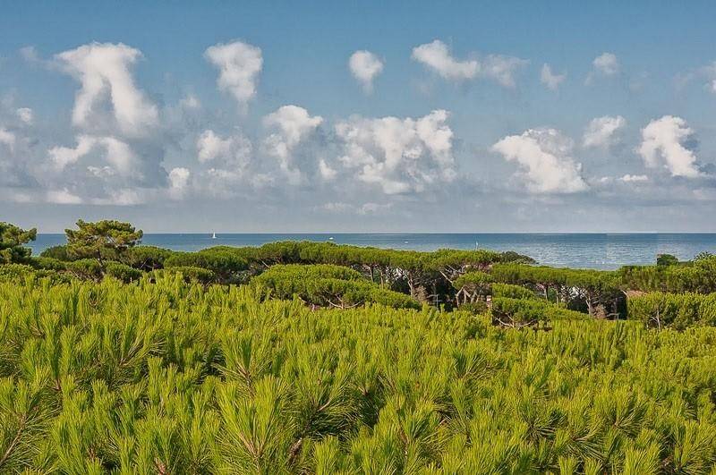 negozio in vendita a Pietrasanta in zona Focette