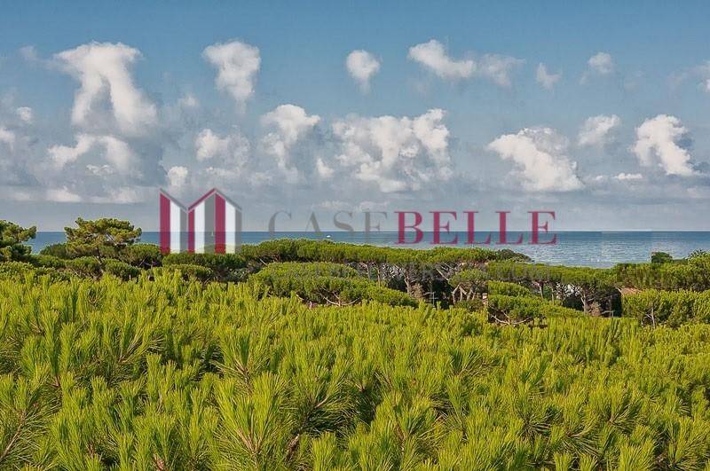 negozio in vendita a Pietrasanta in zona Focette