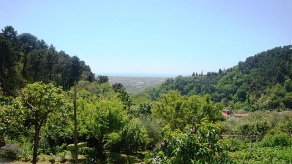 casa indipendente in vendita a Pietrasanta in zona Strettoia