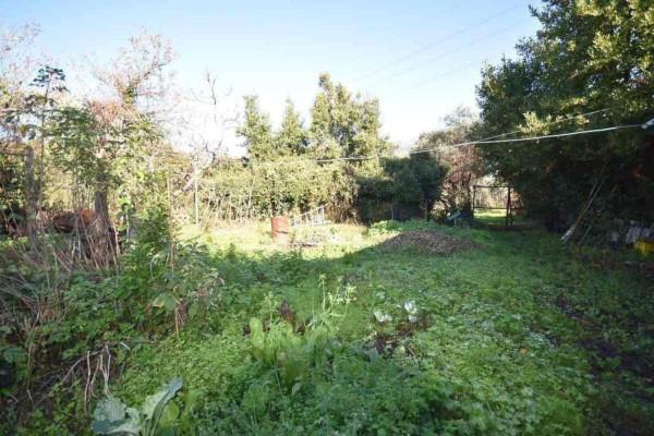 casale in vendita a Pietrasanta in zona Strettoia