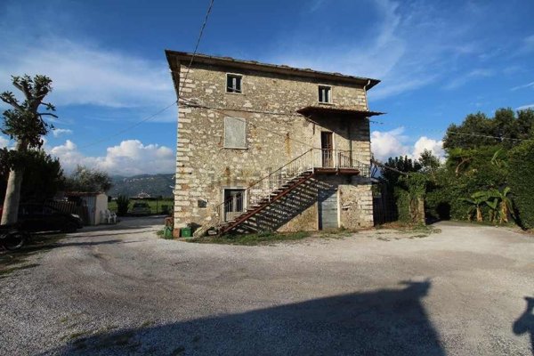 esavano in vendita a Pietrasanta