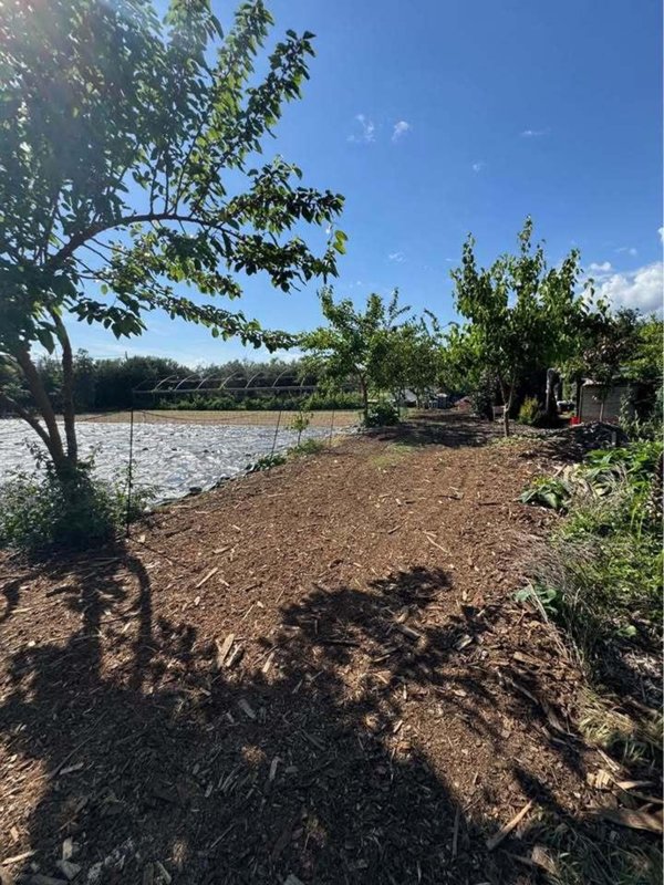 terreno agricolo in vendita a Pietrasanta