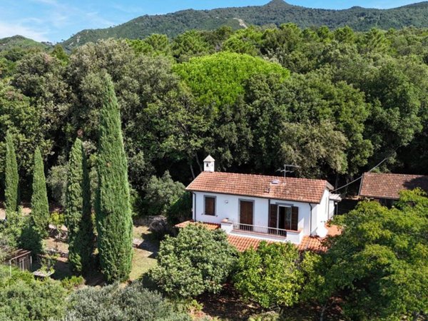 casa indipendente in vendita a Pietrasanta in zona Strettoia