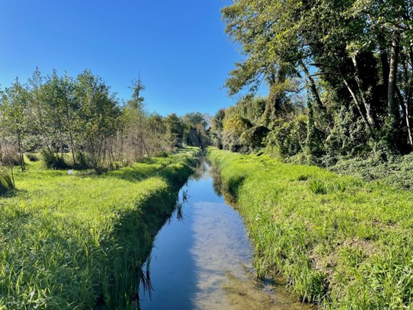 terreno agricolo in vendita a Pietrasanta in zona Marina di Pietrasanta