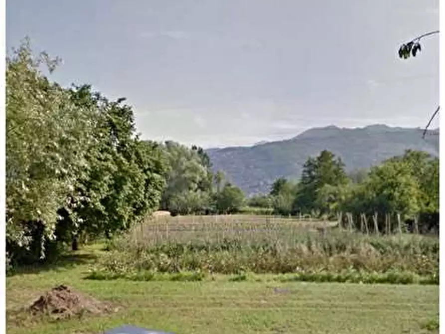 terreno agricolo in vendita a Pietrasanta