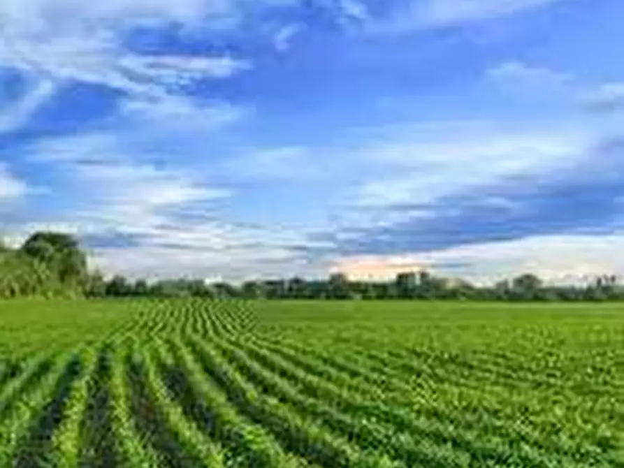 terreno agricolo in vendita a Pietrasanta