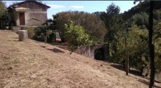 pentavano in vendita a Pietrasanta in zona Strettoia