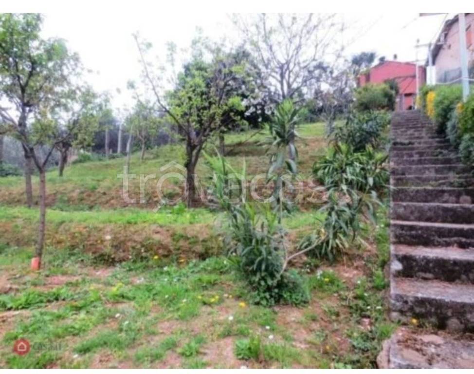 casa indipendente in vendita a Pietrasanta in zona Strettoia