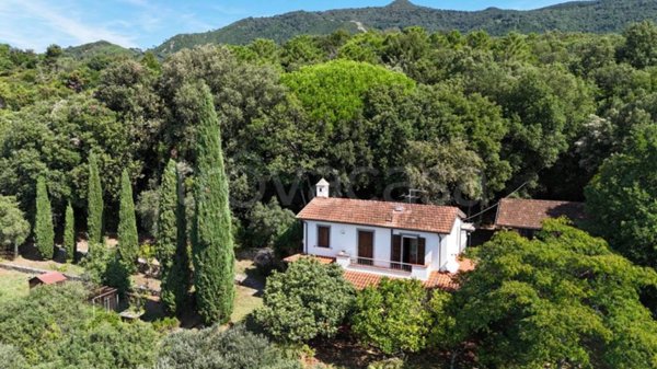 casa indipendente in vendita a Pietrasanta in zona Strettoia