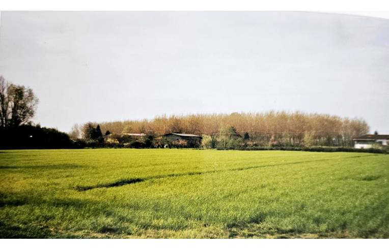 terreno agricolo in vendita a Pietrasanta