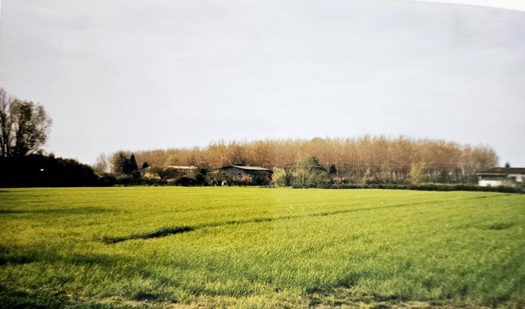 terreno agricolo in vendita a Pietrasanta