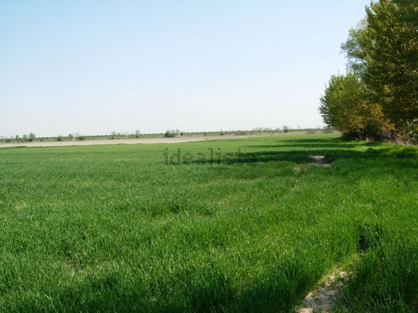 casa indipendente in vendita a Pietrasanta