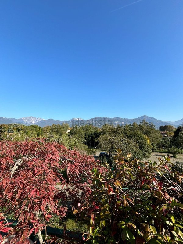 appartamento in vendita a Pietrasanta in zona Fiumetto