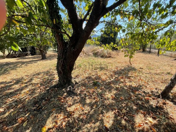 casa indipendente in vendita a Pietrasanta