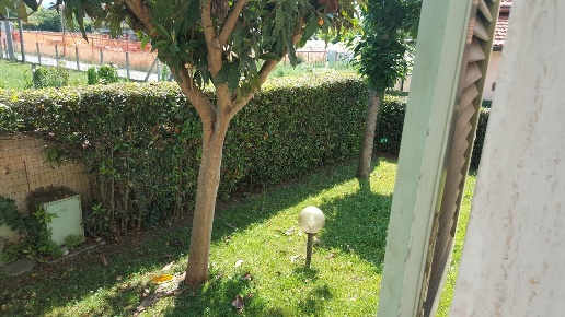 casa indipendente in vendita a Pietrasanta in zona Marina di Pietrasanta