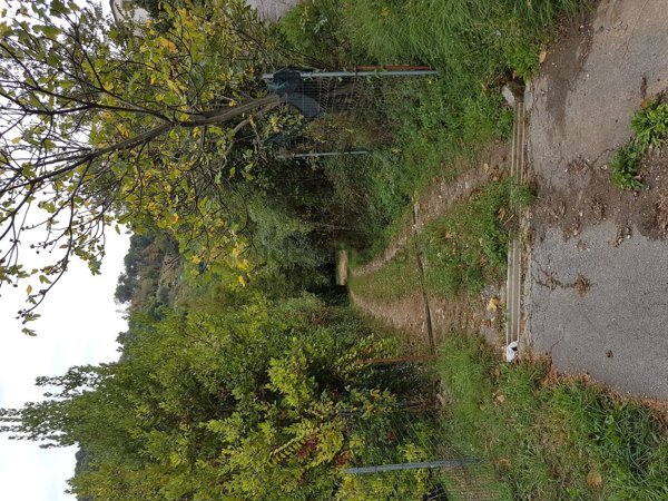 casale in vendita a Pietrasanta