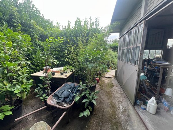 capannone in vendita a Pietrasanta