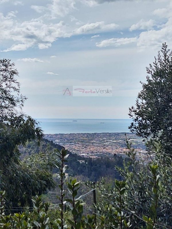 casa indipendente in vendita a Pietrasanta in zona Strettoia