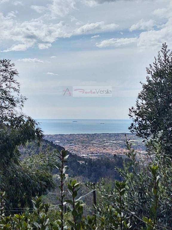 casa indipendente in vendita a Pietrasanta in zona Solaio