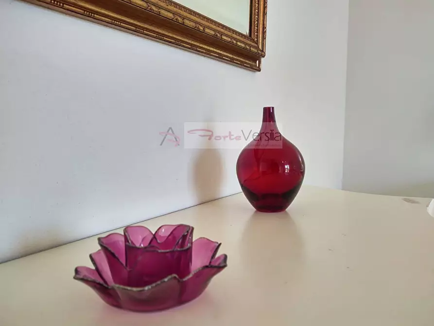 casa indipendente in vendita a Pietrasanta in zona Tonfano