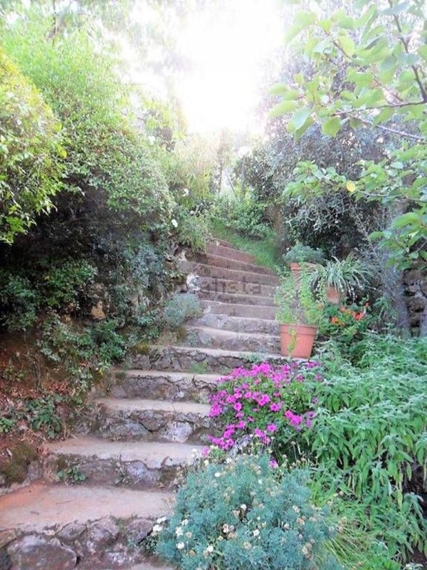 casa indipendente in vendita a Pietrasanta in zona Valdicastello