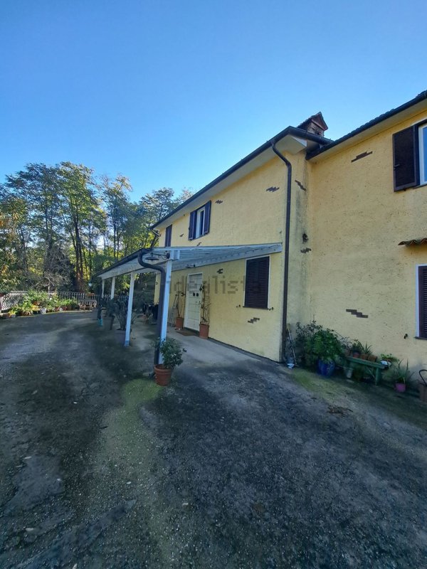 pentavano in vendita a Pietrasanta