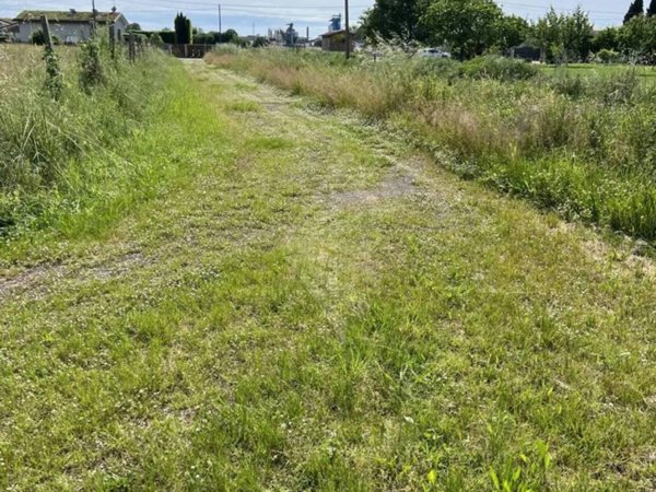 terreno agricolo in vendita a Pietrasanta