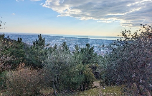 casale in vendita a Pietrasanta in zona Capezzano