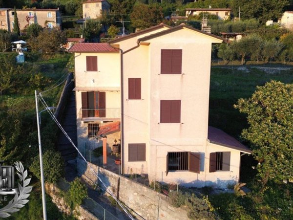 casa indipendente in vendita a Pietrasanta in zona Capezzano