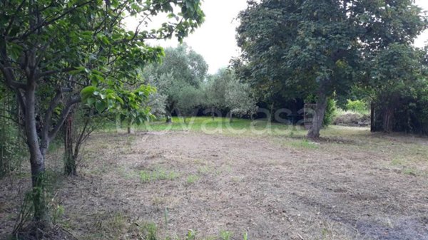 terreno edificabile in vendita a Pietrasanta