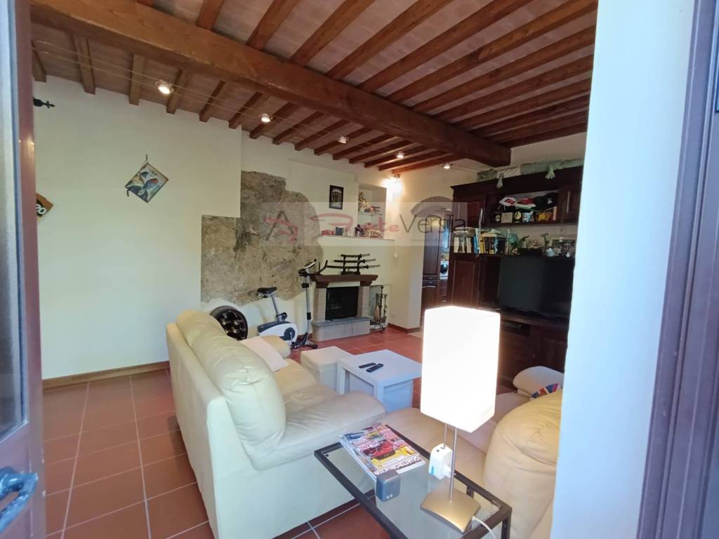 casa indipendente in vendita a Pietrasanta in zona Capriglia