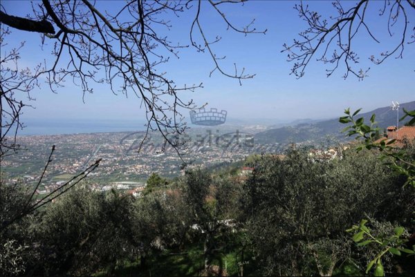 casa indipendente in vendita a Pietrasanta in zona Capriglia