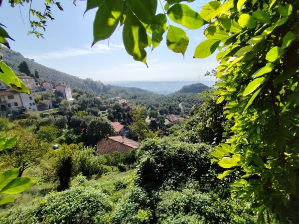 casa indipendente in vendita a Pietrasanta in zona Capezzano Monte