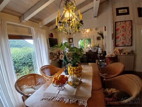 casa indipendente in vendita a Pietrasanta in zona Valdicastello