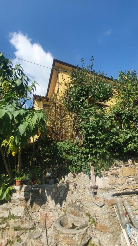 negozio in vendita a Pietrasanta