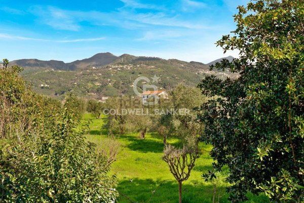 casa indipendente in vendita a Pietrasanta in zona Marina di Pietrasanta
