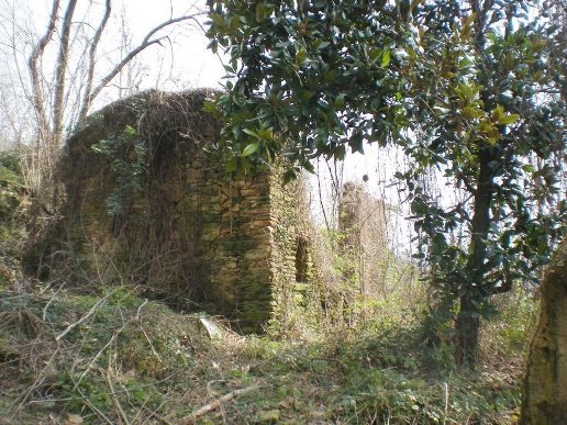 appartamento in vendita a Pietrasanta