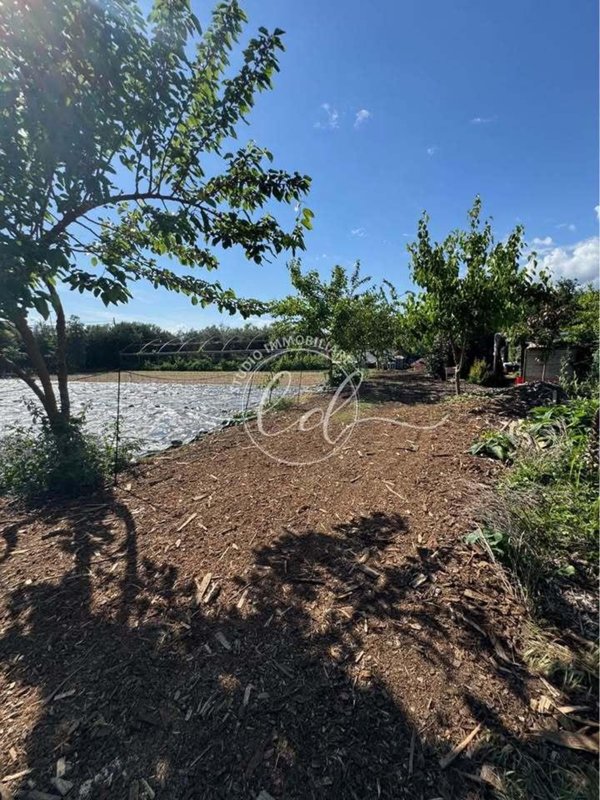 terreno agricolo in vendita a Pietrasanta