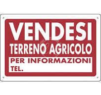 terreno agricolo in vendita a Pietrasanta