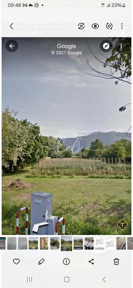 terreno agricolo in vendita a Pietrasanta