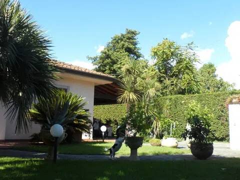 casa indipendente in vendita a Pietrasanta in zona Marina di Pietrasanta