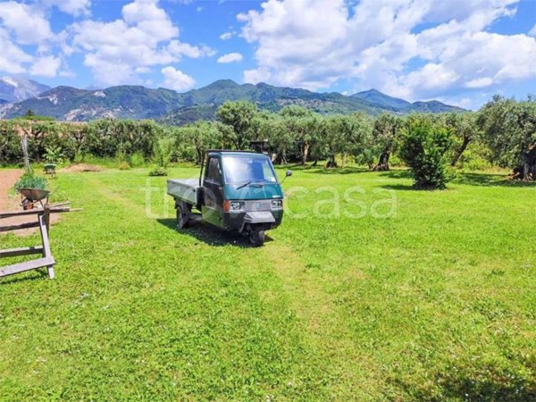 terreno agricolo in vendita a Pietrasanta