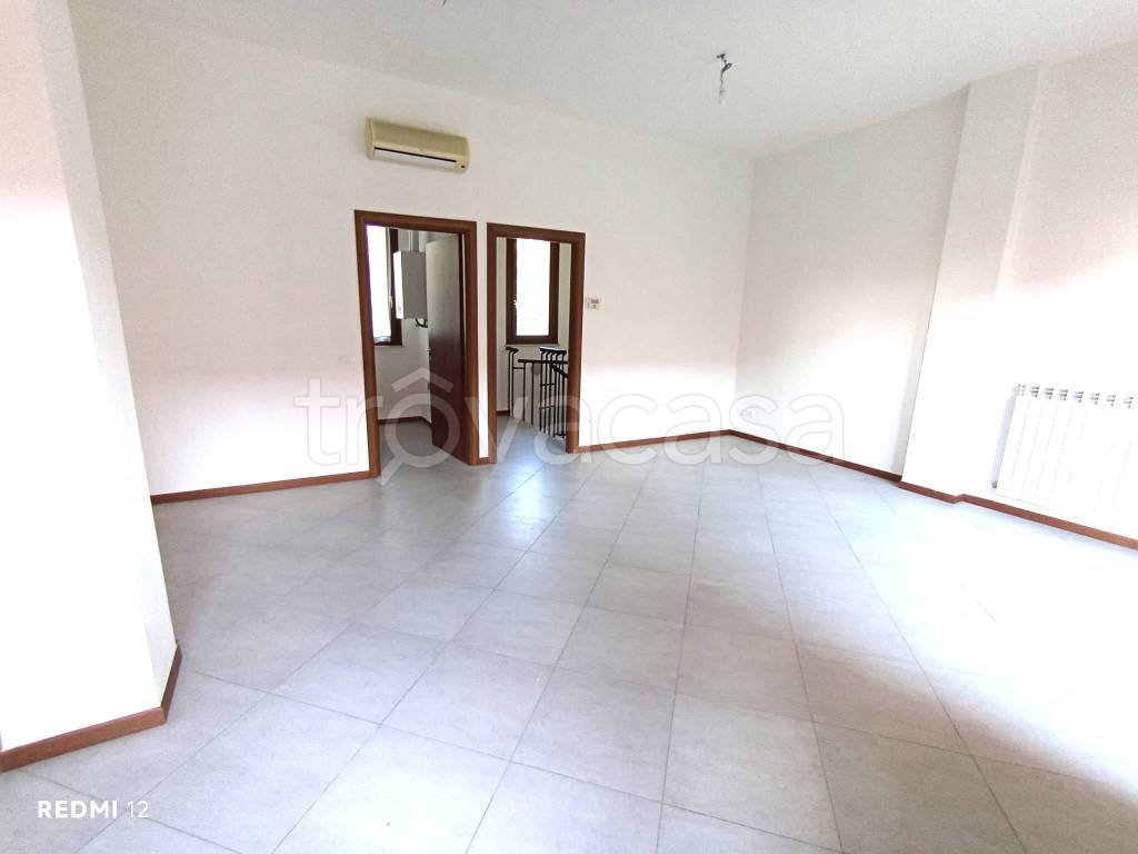 negozio in vendita a Pietrasanta in zona Vignone