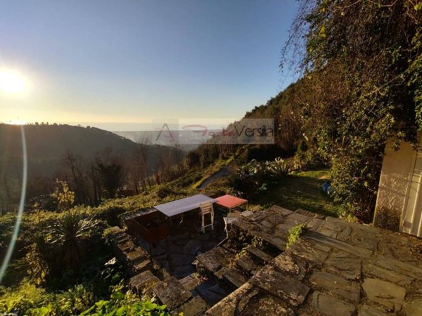 casa indipendente in vendita a Pietrasanta in zona Vitoio