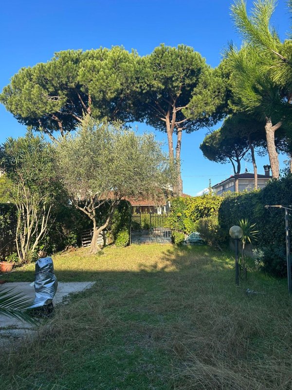 casa indipendente in vendita a Pietrasanta in zona Motrone