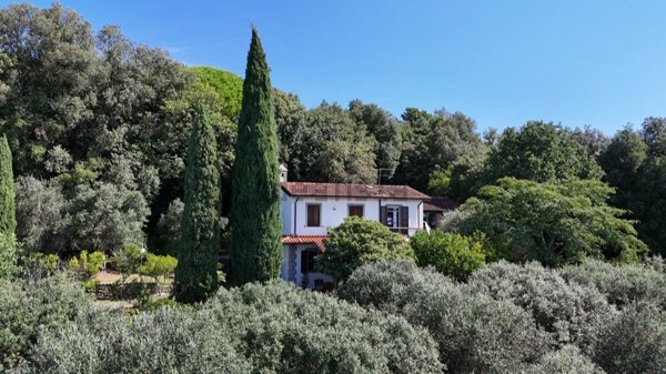 casa indipendente in vendita a Pietrasanta in zona Strettoia