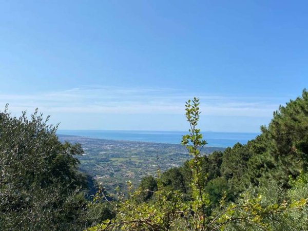 terreno agricolo in vendita a Pietrasanta